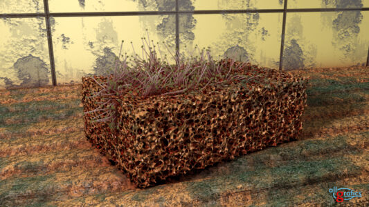 3D Grafik schwamm-schimmel